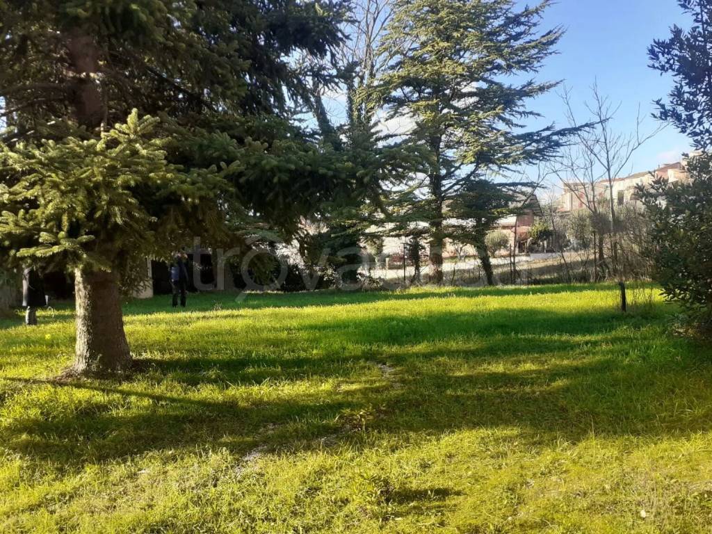 immagine annuncio 11 di 12