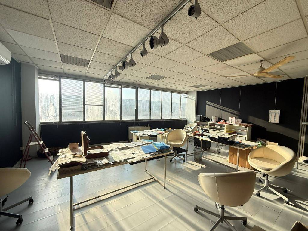 immagine annuncio 1 di 14