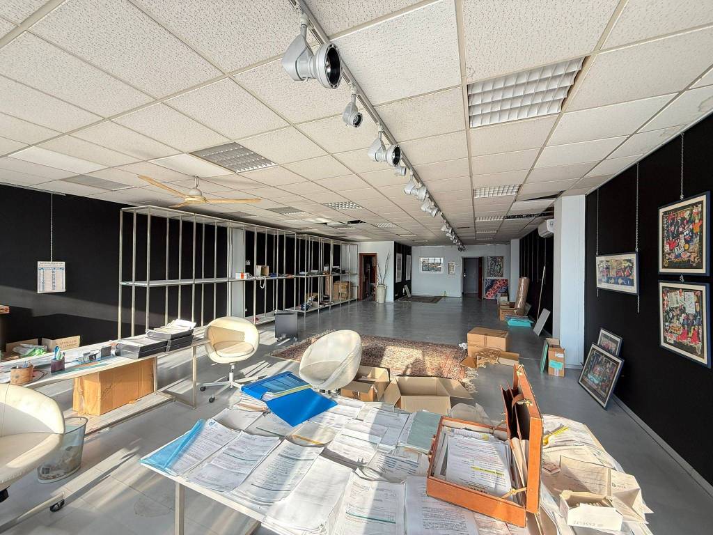 immagine annuncio 3 di 14