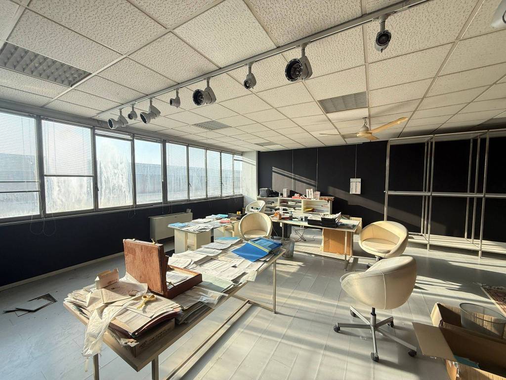 immagine annuncio 5 di 14