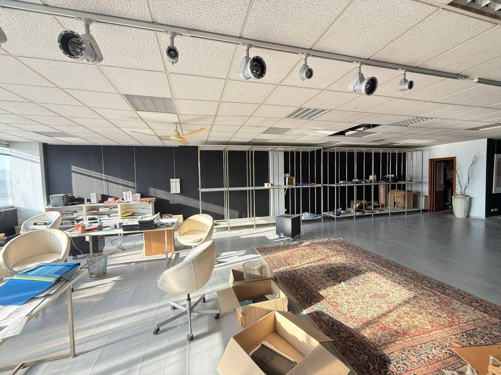 immagine annuncio 6 di 14