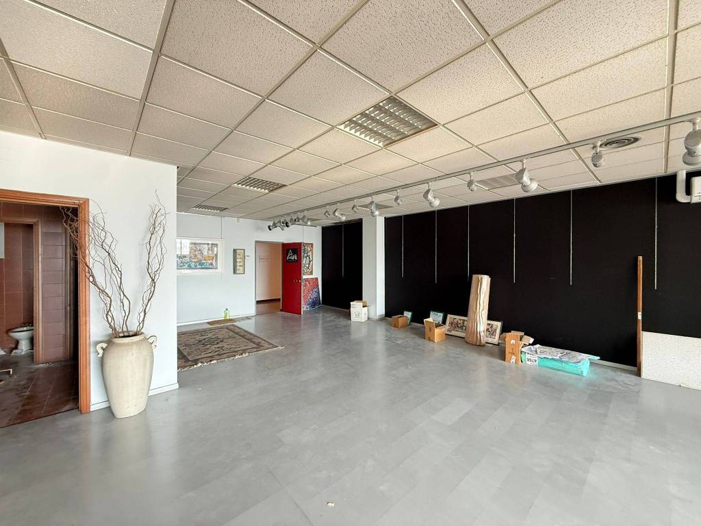 immagine annuncio 9 di 14