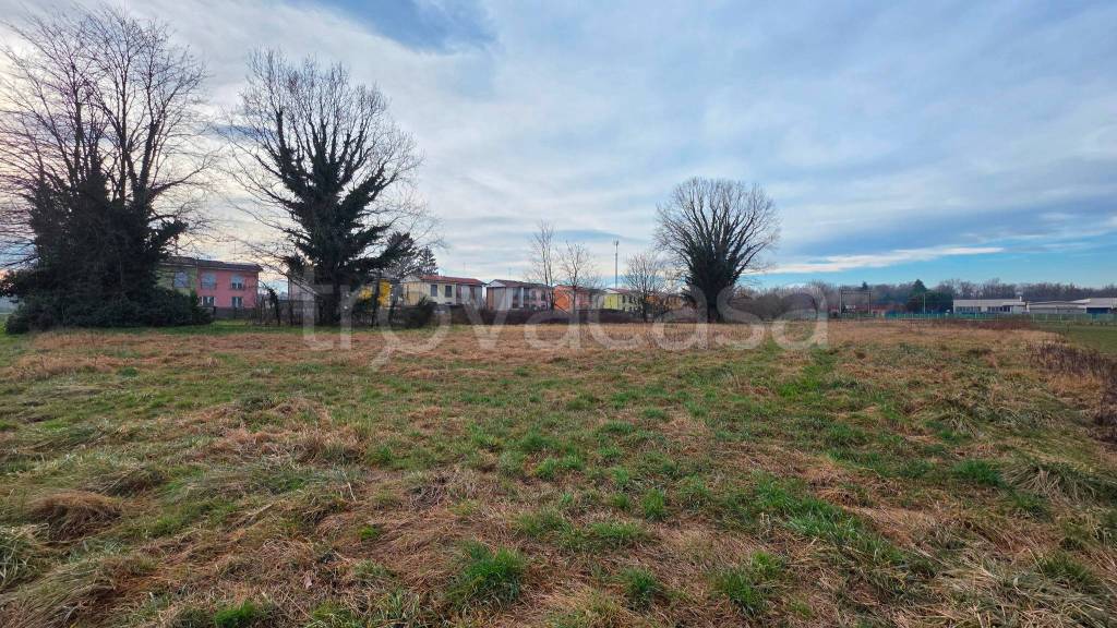 immagine annuncio 6 di 12