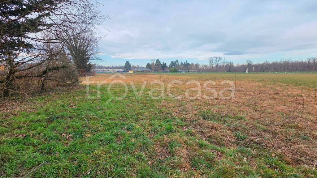 immagine annuncio 3 di 12