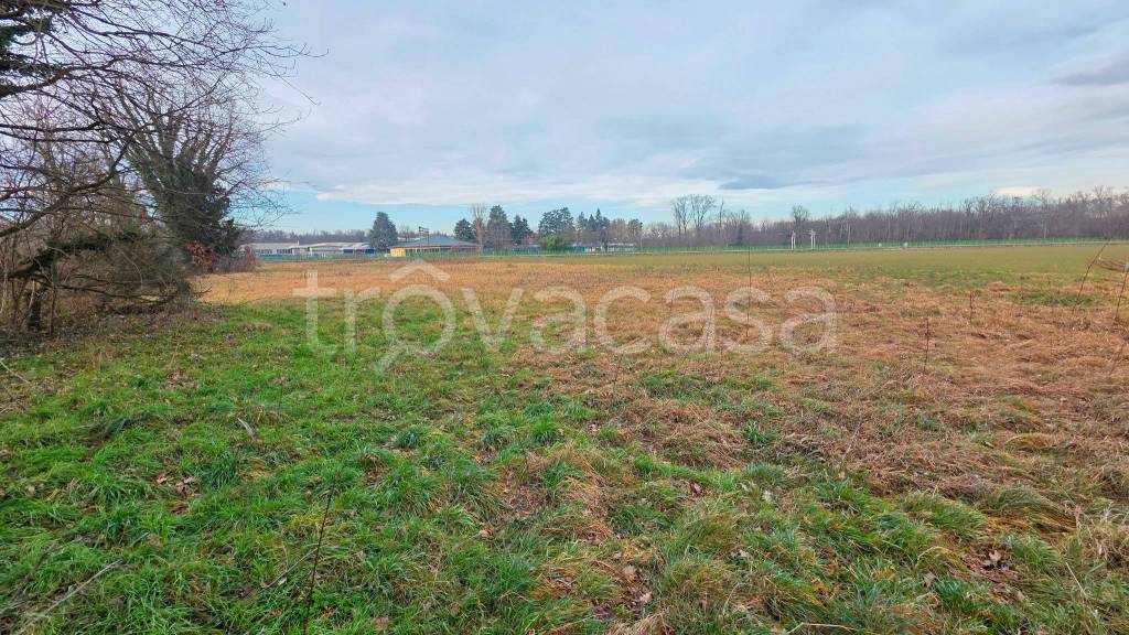 immagine annuncio 2 di 12