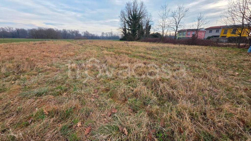 immagine annuncio 7 di 12