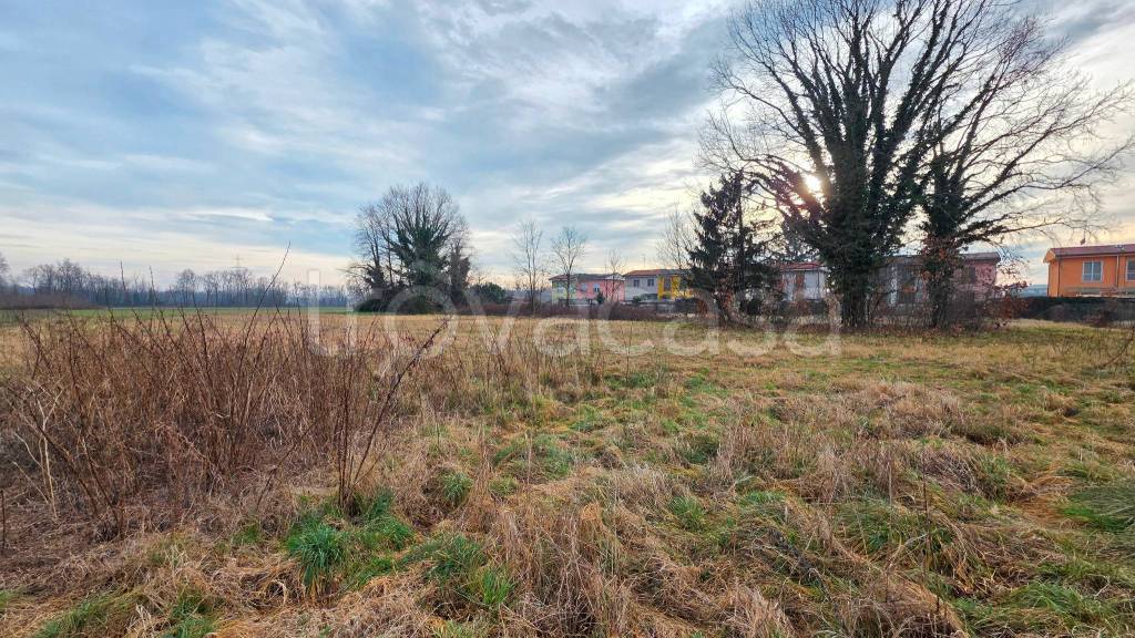 immagine annuncio 8 di 12