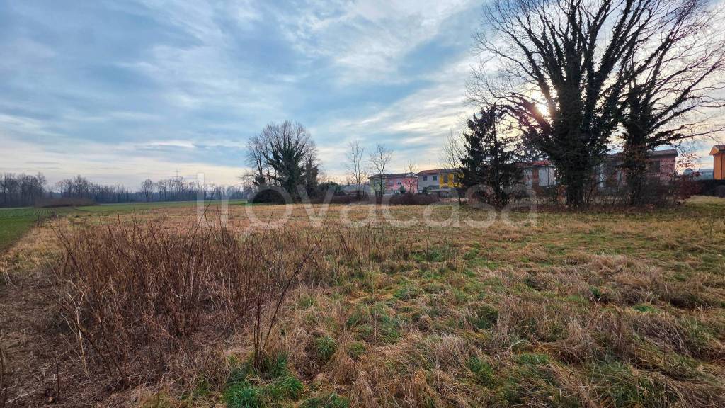 immagine annuncio 1 di 12