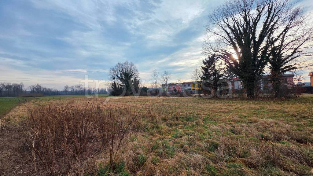 immagine annuncio 9 di 12