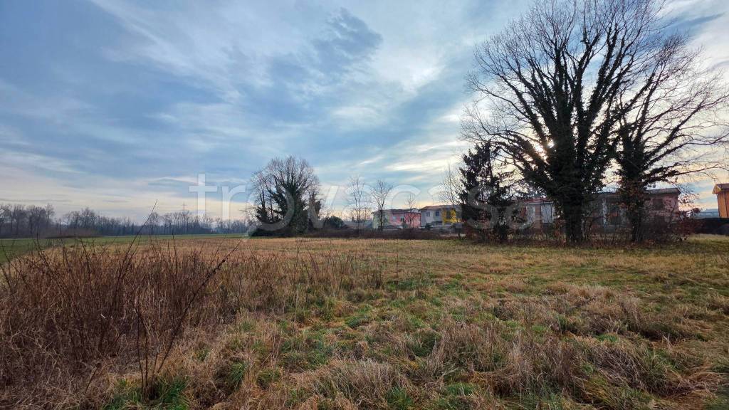 immagine annuncio 10 di 12