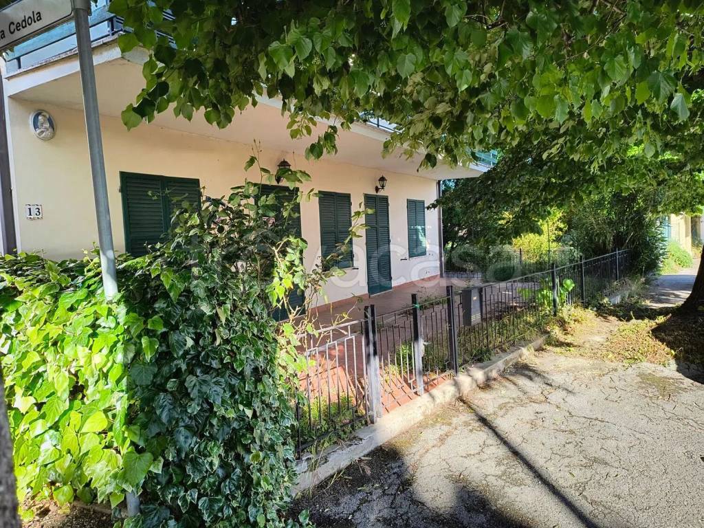 immagine annuncio 9 di 15