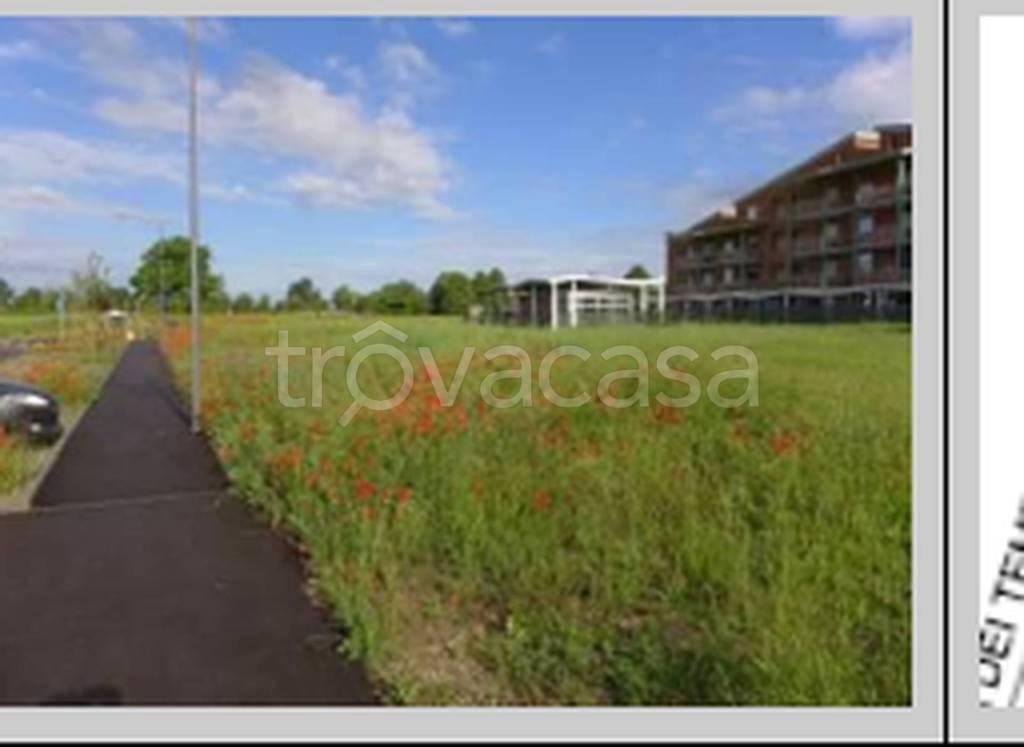 immagine annuncio 11 di 12