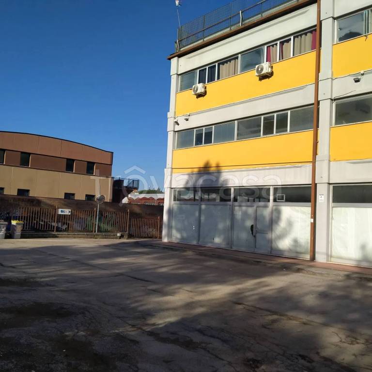 immagine annuncio 4 di 15