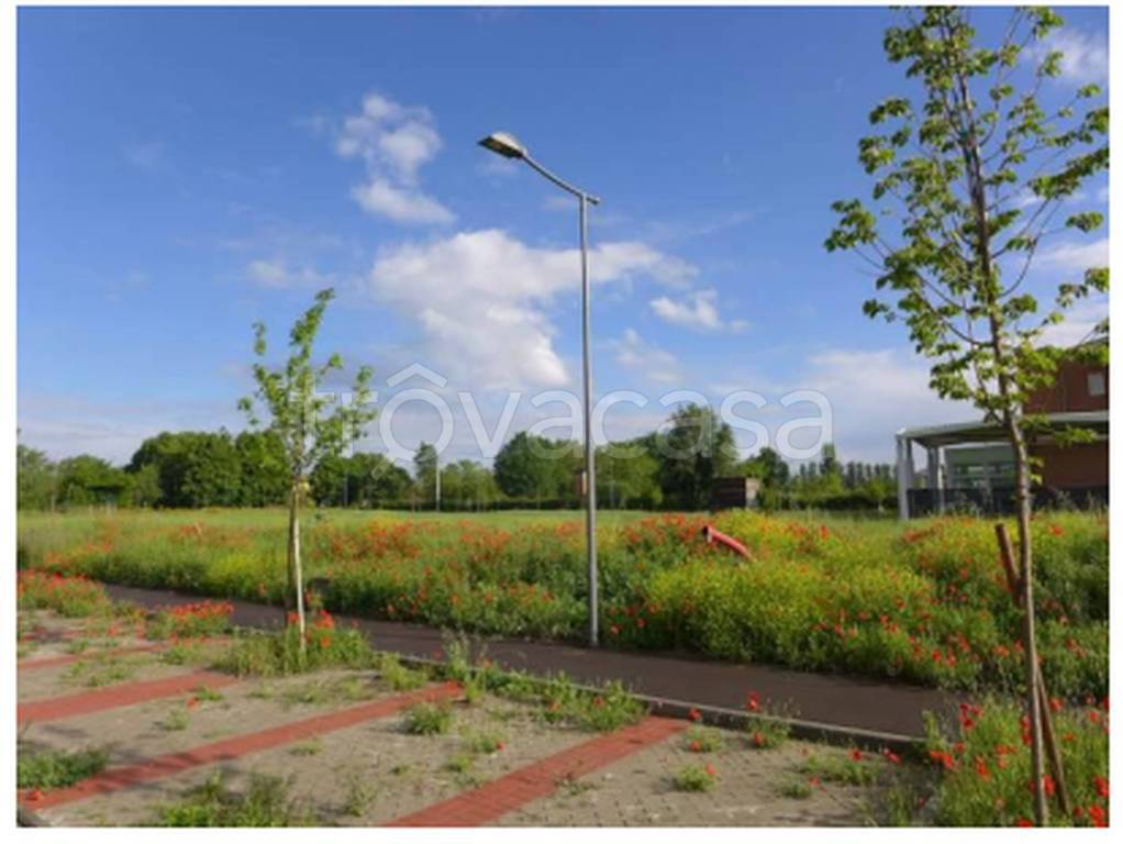 immagine annuncio 2 di 12