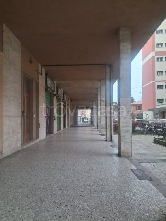 immagine annuncio 4 di 6