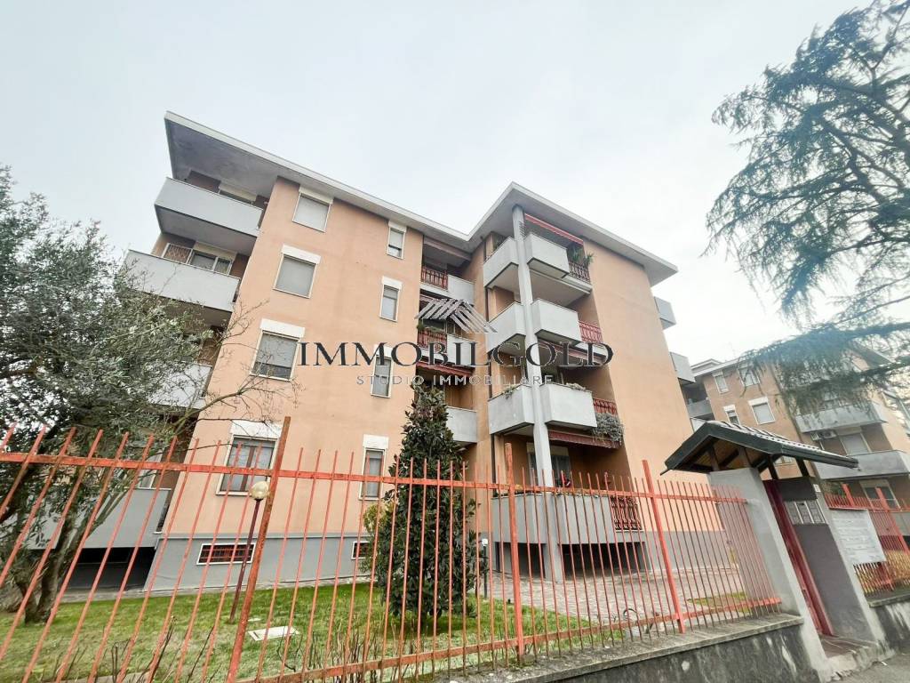 immagine annuncio 12 di 13