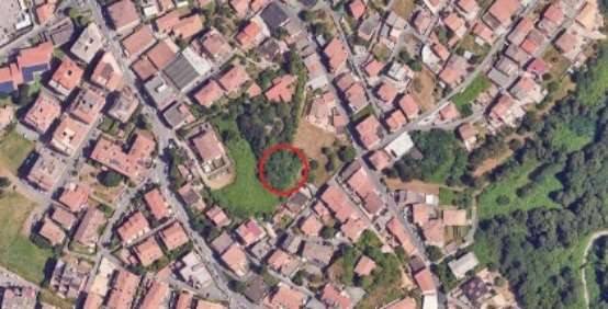 immagine annuncio 5 di 12