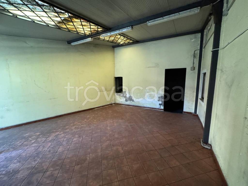 immagine annuncio 7 di 11