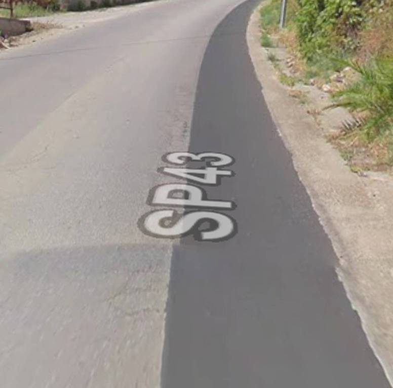 immagine annuncio 10 di 14