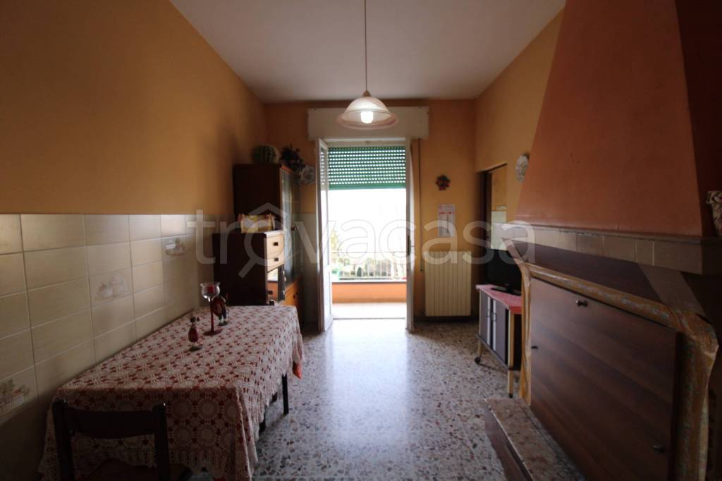 immagine annuncio 4 di 12