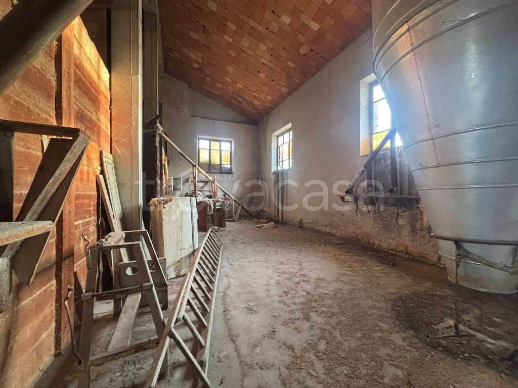 immagine annuncio 10 di 14