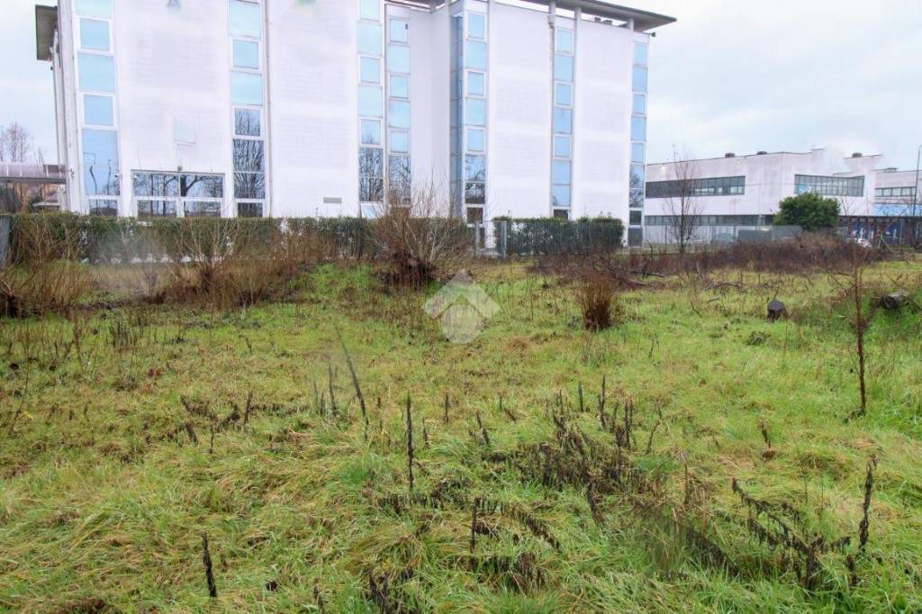 immagine annuncio 1 di 12