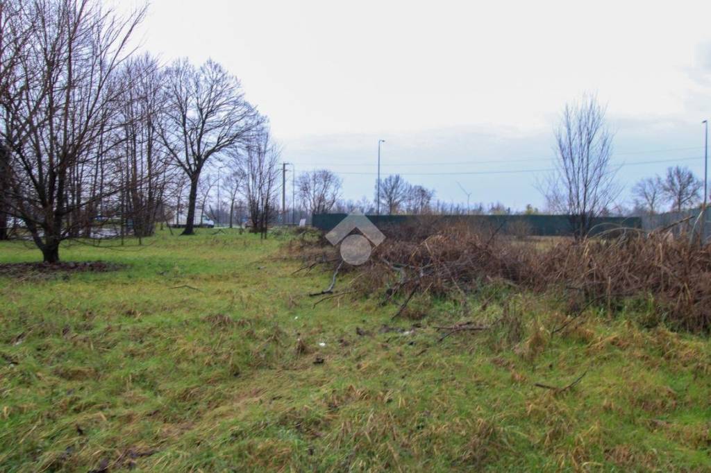 immagine annuncio 3 di 12