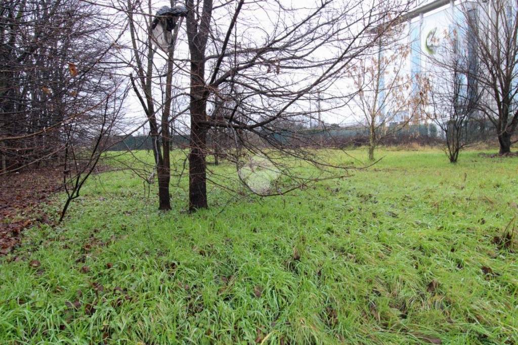 immagine annuncio 4 di 12