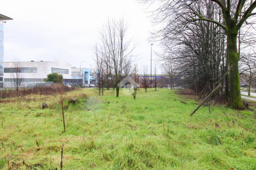 immagine annuncio 5 di 12