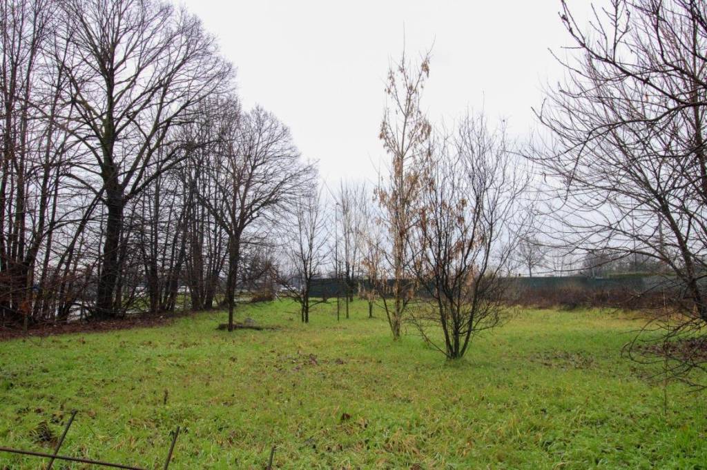 immagine annuncio 6 di 12