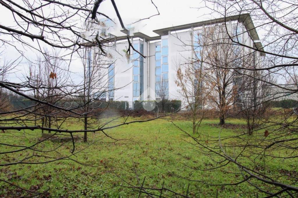 immagine annuncio 7 di 12