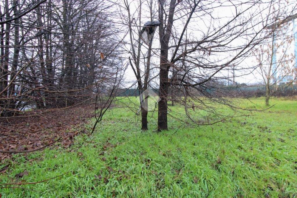 immagine annuncio 8 di 12