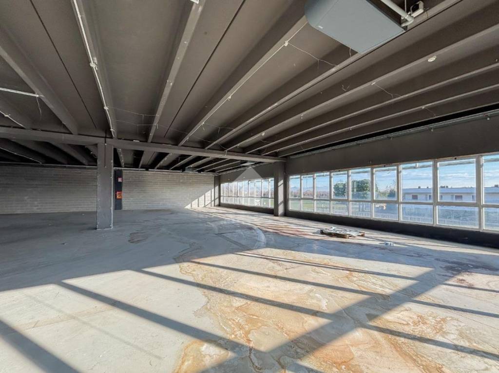 immagine annuncio 6 di 9