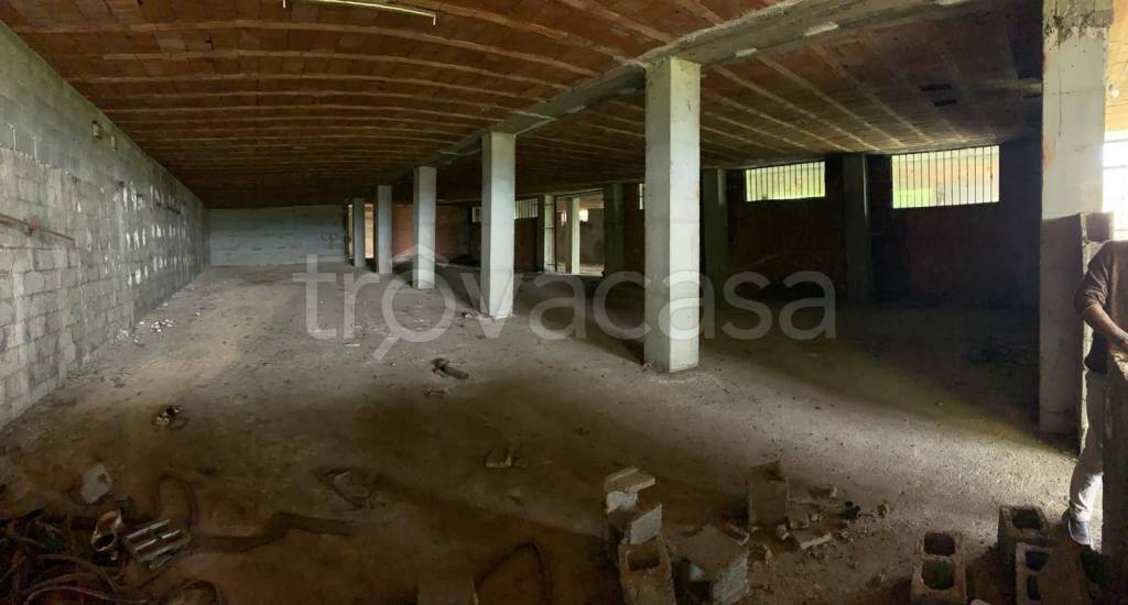 immagine annuncio 4 di 6