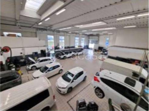 immagine annuncio 8 di 15