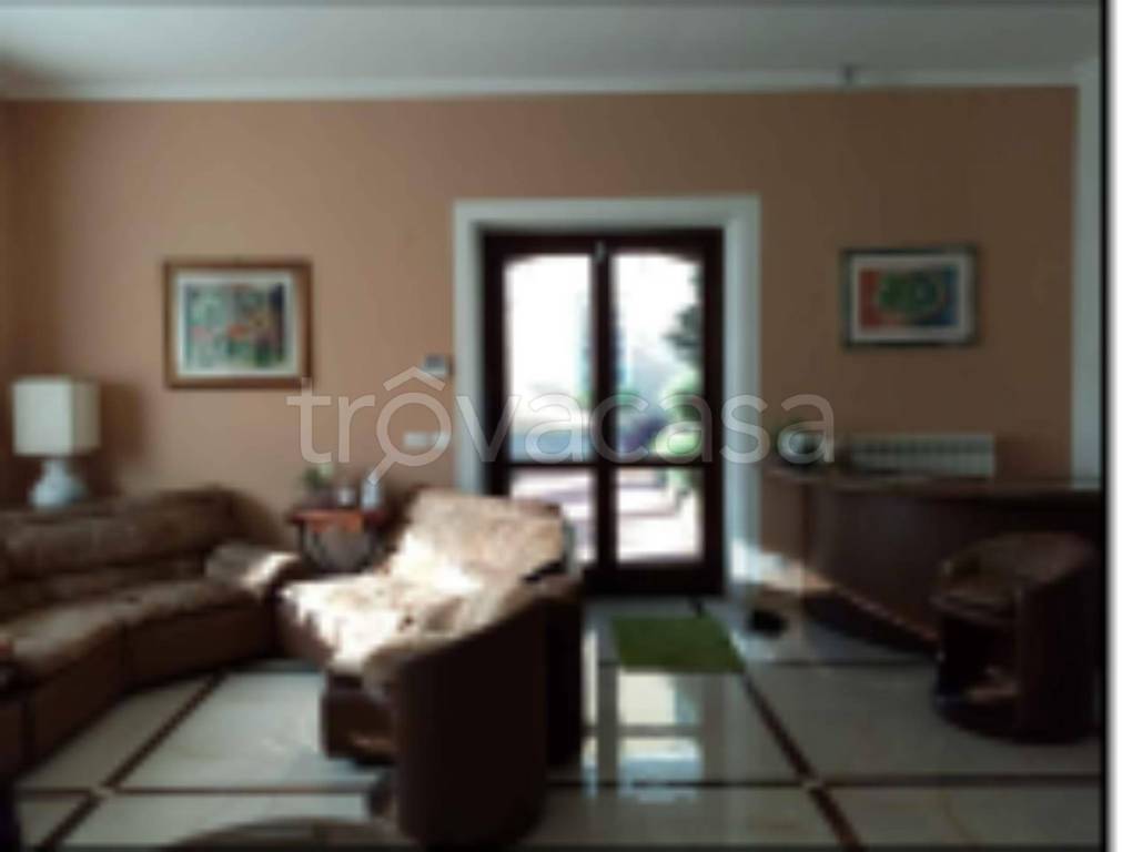 immagine annuncio 11 di 14