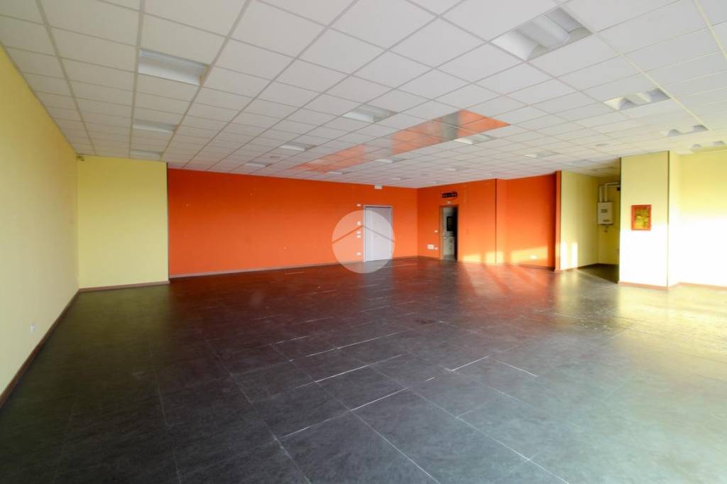 immagine annuncio 5 di 12