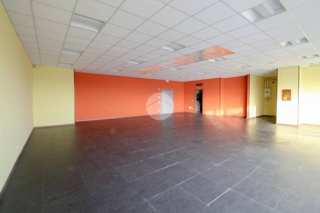 immagine annuncio 7 di 12