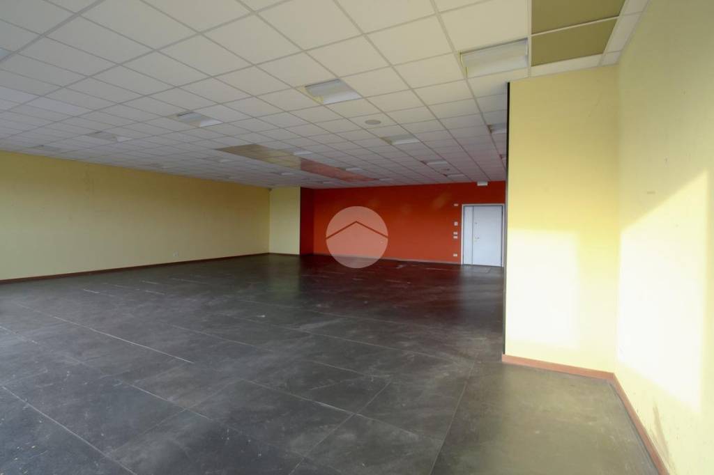 immagine annuncio 10 di 12