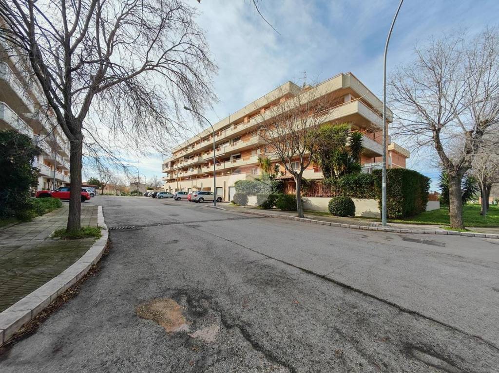 immagine annuncio 13 di 15