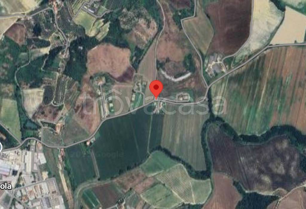 immagine annuncio 3 di 12