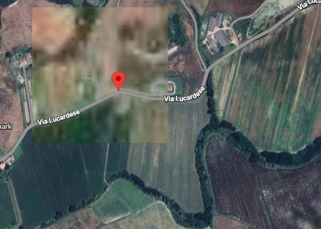 immagine annuncio 4 di 12