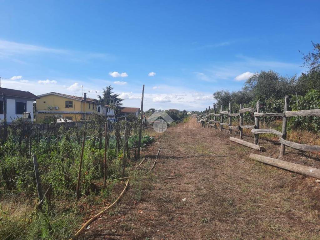 immagine annuncio 3 di 13