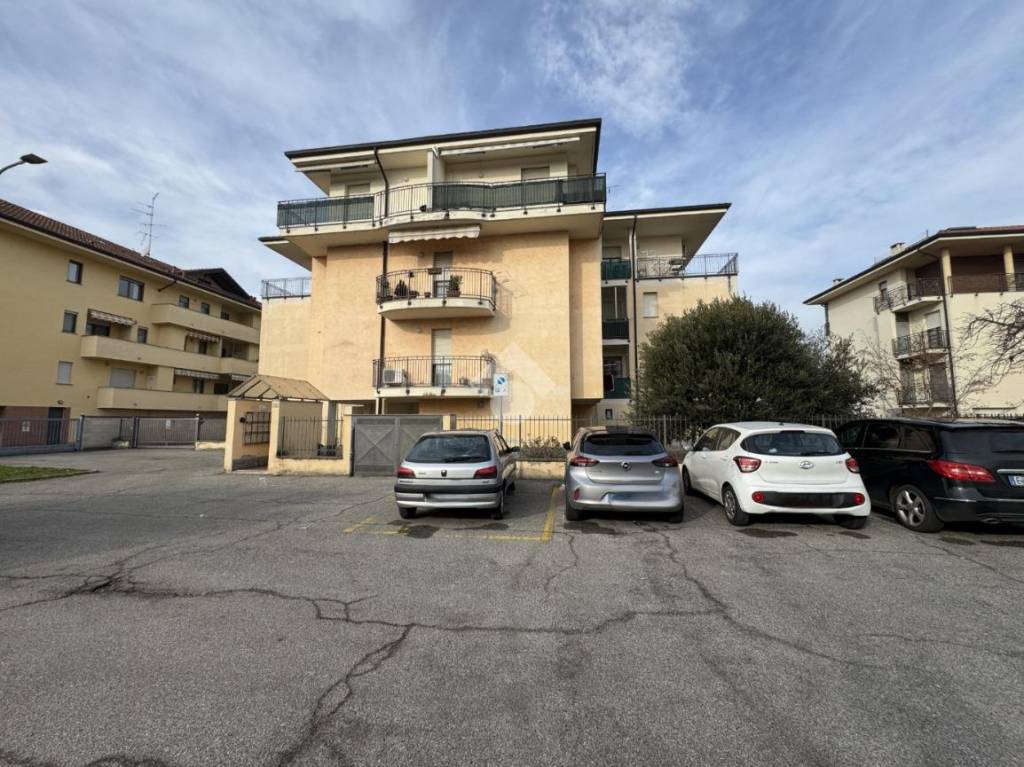 immagine annuncio 5 di 15