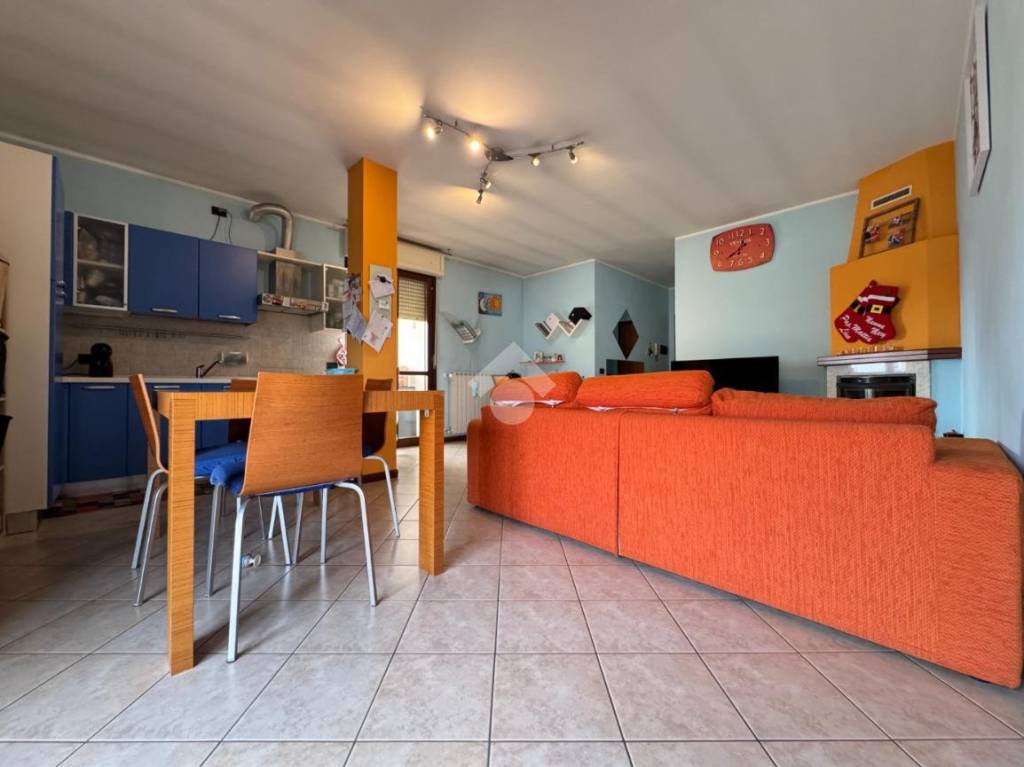 immagine annuncio 6 di 15