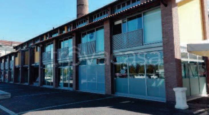 immagine annuncio 3 di 14