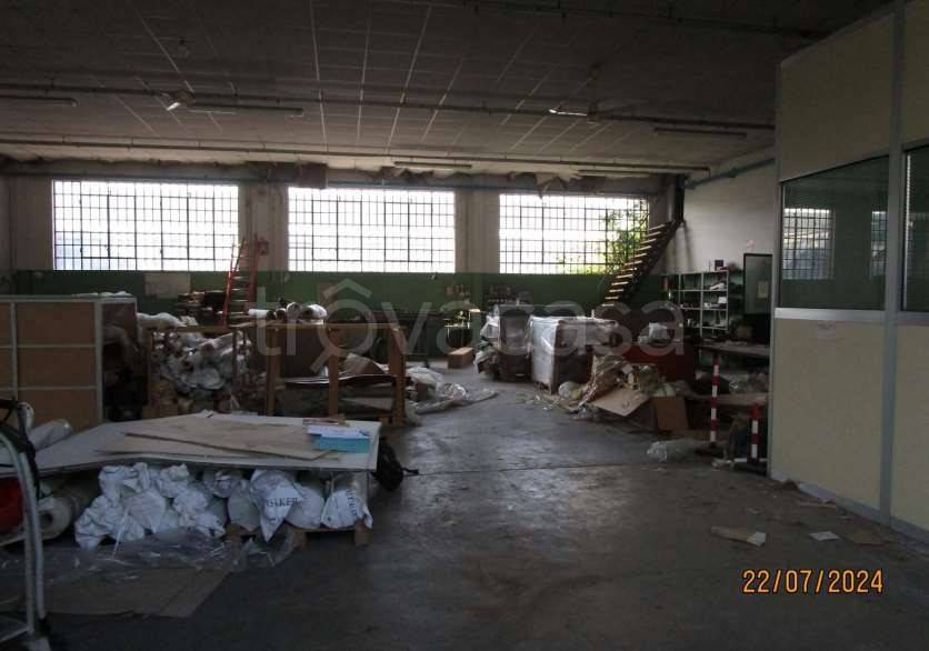 immagine annuncio 4 di 14