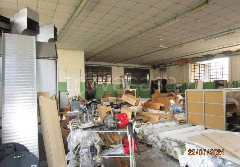 immagine annuncio 5 di 14