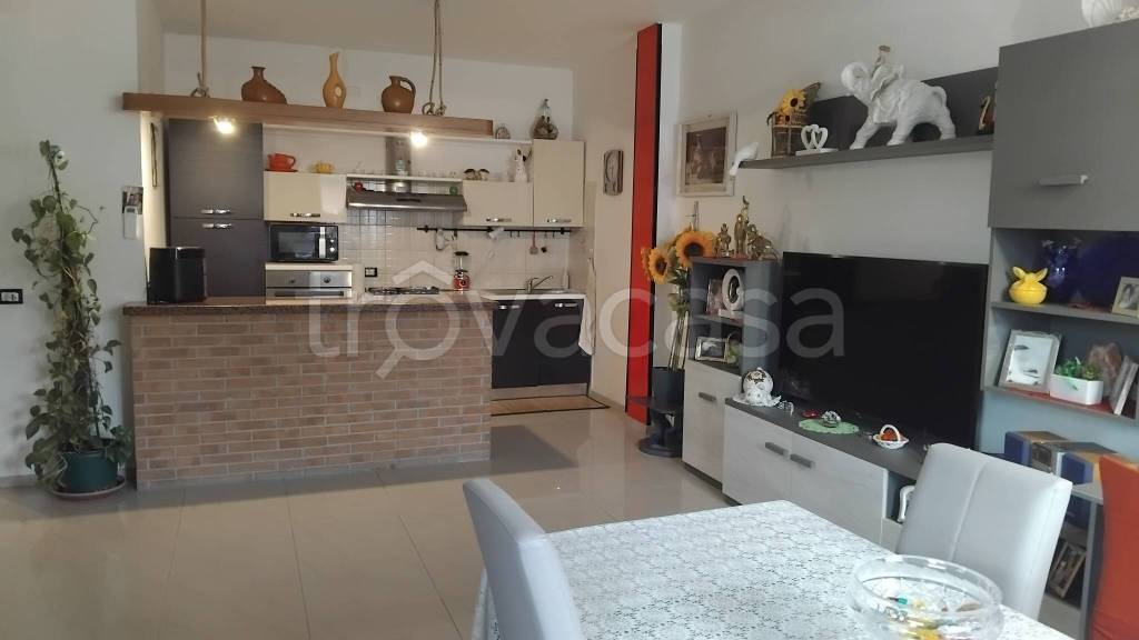 immagine annuncio 3 di 14