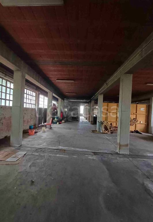 immagine annuncio 5 di 15